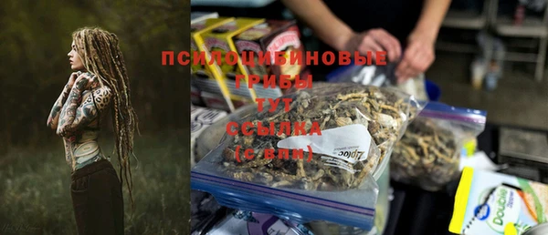 дурь Белокуриха